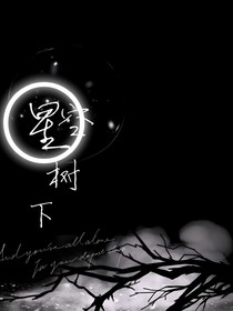 星空树下