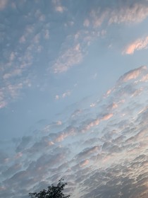 被机器人墙纸爱后……