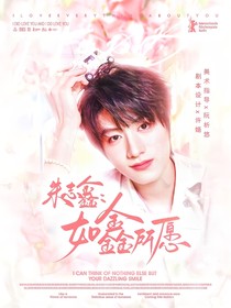 朱志鑫：如鑫所愿