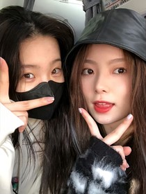 卓而不凡：小奶狗和小奶猫