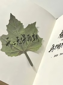 重生之我在娛樂圈泡大佬