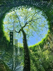 难逢初夏