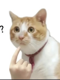 你有系统？！你是主角那我是什么！？