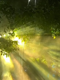 晨夜：命運(yùn)交織的冒險與救贖