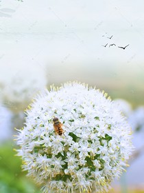 喝凉水（冷水与热茶）