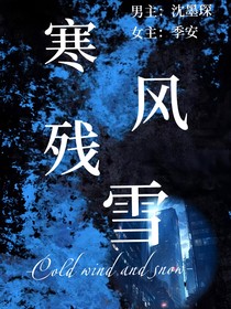 寒风残雪