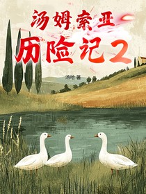 汤姆索亚历险记2