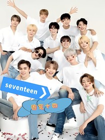 seventeen：我们的十四啊