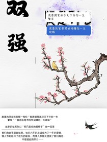 奇文：双强