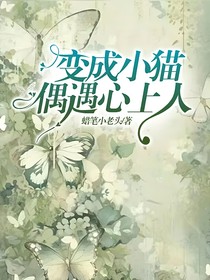 变成小猫偶遇心上人