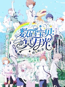 数码宝贝：幽冥月光