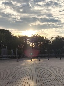 有你的唯一