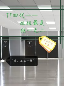 TF四代：姐姐最是独一无二