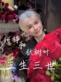 何铮和秋树叶的三生三世