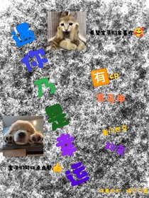 遇你乃是幸运