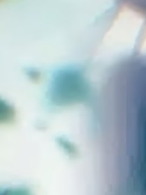 冧飞跃华