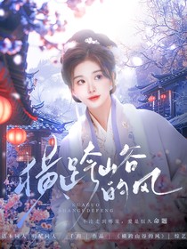 大偵探9：橫跨山谷的風(fēng)
