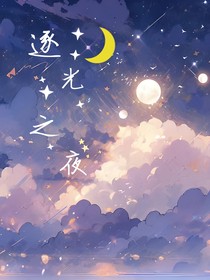 逐光之夜