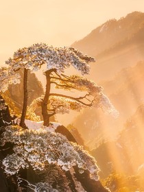 戰(zhàn)神聯(lián)盟之光暗兩面