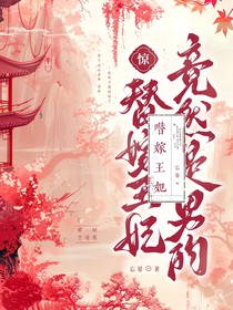 惊，替嫁王妃竟然是男的