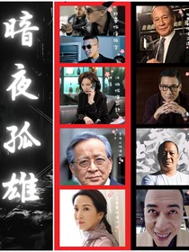 暗夜孤雄