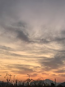 病弱神明的团宠日常