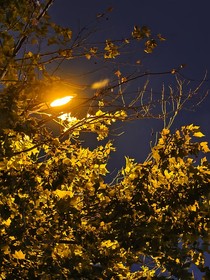 地球打卡日記