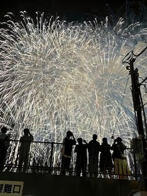 阳一那无法言说的爱意