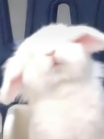 那个虚幻的梦