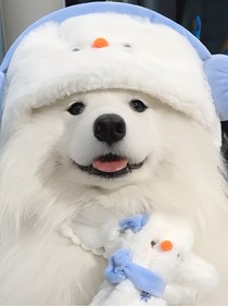 时光恋曲之我与娱乐圈大佬的爱情故事