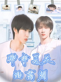 那年夏天的离别