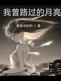 我曾路过的月亮