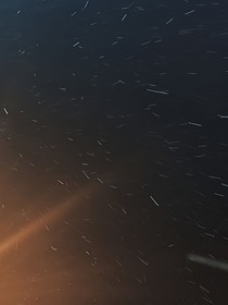 黑夜追光者
