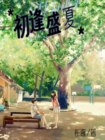初逢盛夏