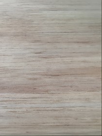 MBTI的末日求生