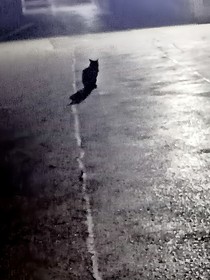 那几年昏暗无光的日子