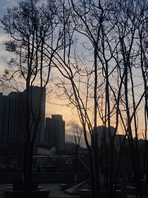 写给冬的第13封信