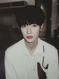 朱志鑫：秘果