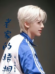 老家的梧桐