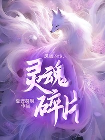 凤凰的传人1