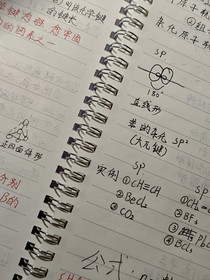 重生之高中生活