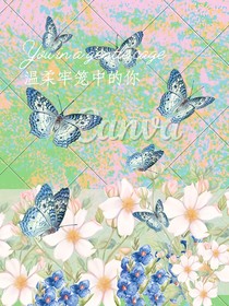 温柔牢笼中的你