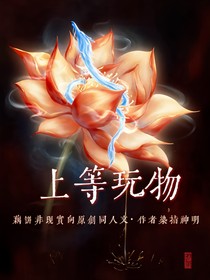 上等玩物（藕饼）
