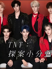 TNT：探案小分队