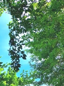 那日晴天