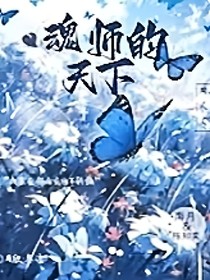 魂师的天下