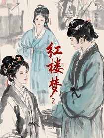 红楼梦2（自编版）