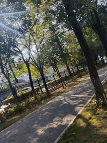 許愿：