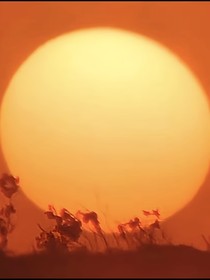 三個(gè)太陽（我）