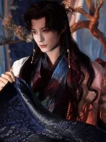 白月梵星：不叫霜雪落卿颜